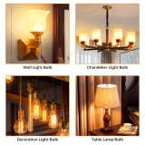 China Cheap Amber Glass E26 E27 2200K 2700K T32 LED Filament Circular Tube Halogen Bulb Poultry Lighting Halogen Bulb (6)