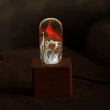 Creative Transparent Aesthetics Poly Resin Ice and Fire Table Lamp Atmosphere Bulb Lighting With Socket (2)