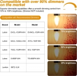 Factory Direct F15 Tapered Retro Edison Bulb White Incandescent Warm Lamp Bulb Filament Can Be Used for Led Overhead Lights (3)