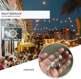 Hot Sale G40 5000K Clear Glass White Incandescent Warm Lamp Bulb Filament LED Modern Style Bulb for Courtyard Garden (4)