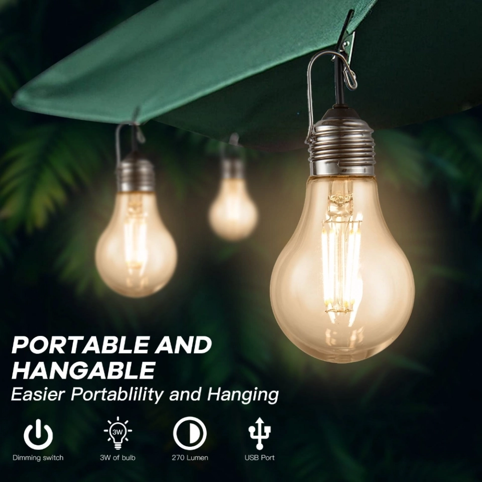 New Design Portable USB Charging Dimmable Touch Control A60 Light Lamp String with Hook Used for Camping (3)