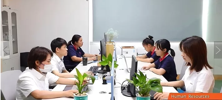 screenshot-1760596078486 screenshot-1760596078486