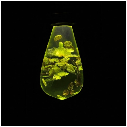 Quality Assurance Small Night Light Desktop Resin LED Bulb E26 E27 1.4w Led Vintage Bulb Light With Socket Quality Assurance Small Night Light Desktop Resin LED Bulb E26 E27 1.4w Led Vintage Bulb Light With Socket