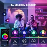 Smart Home Multi-Color LED RGB A19 E27/B22/E26 Bulb with WIFI for Bluetooth Remote Control PC Body AC Power Supply (2)