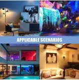 Smart Home Multi-Color LED RGB A19 E27/B22/E26 Bulb with WIFI for Bluetooth Remote Control PC Body AC Power Supply (6)