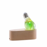 Transparent Poly Resin Aesthetics Atmosphere Suspended Blooming Rhythm A60 Lighting Bulb Desk Lamp With Socket (6)