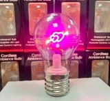 USB Rechargeable LED Night Light A19 A60 Heart Table Lamp with DC Power ROHS Certificate Valentine's Day Gift for Girlfriend (4)