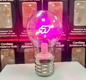 USB Rechargeable LED Night Light A19 A60 Heart Table Lamp with DC Power ROHS Certificate Valentine's Day Gift for Girlfriend (4)