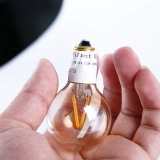 Wholesale Amber Vintage Edison Light Bulb 2w 12v 24v G40 Globe Filament Lamp (4)