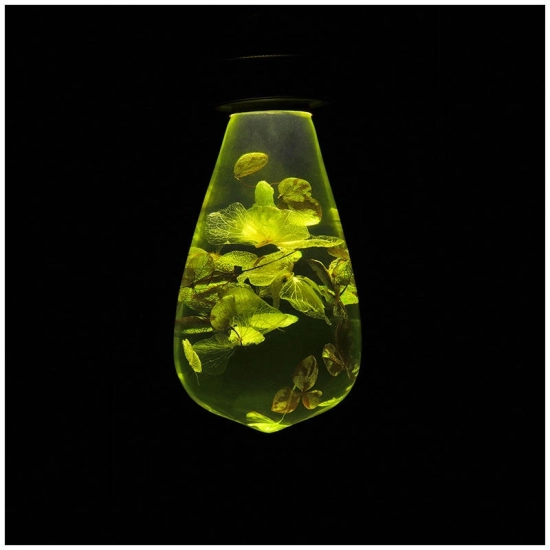 Wholesale Night Light Desk Resin Luminaria Led Lamp Bulb for Bedroom Bar Coffee Store Wall Decoration